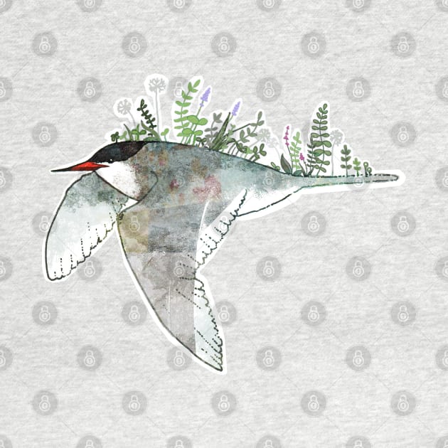 Arctic Tern by KatherineBlowerDesigns